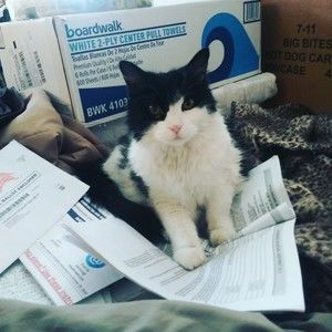 Meet your Posher, Joanne